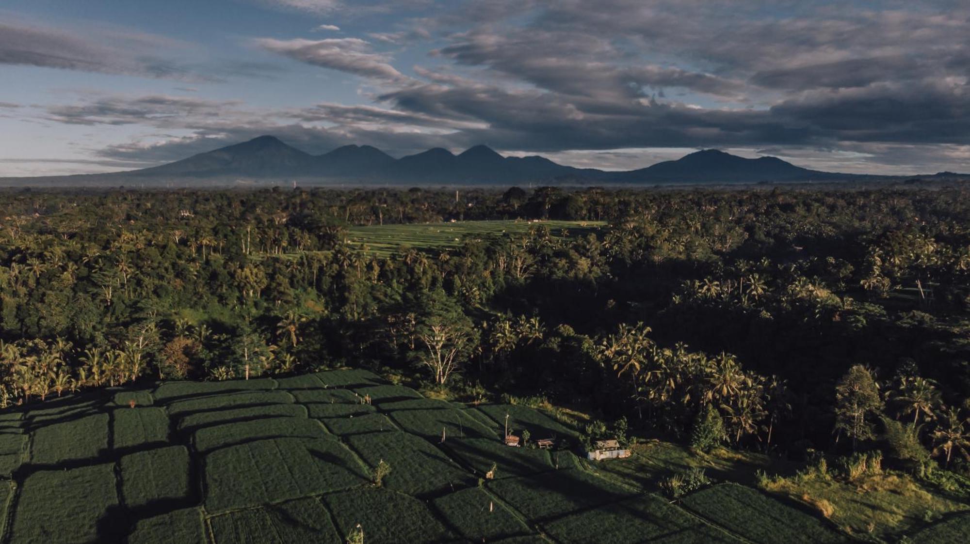 Ipian Cinta By Pramana Villas Убуд Екстер'єр фото